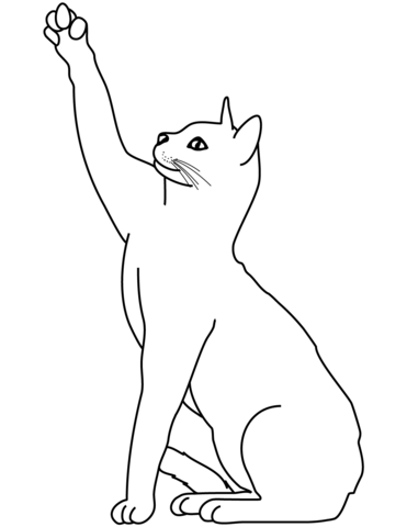 Playing Cat Coloring Page